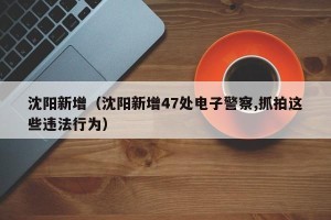 沈阳新增（沈阳新增47处电子警察,抓拍这些违法行为）